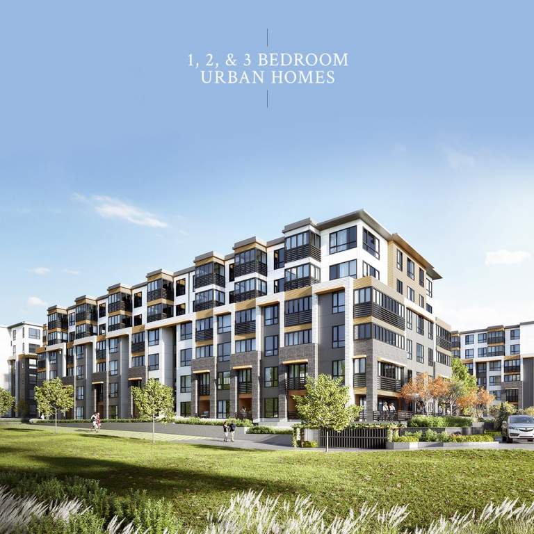 The News Urban Homes in Abbotsford