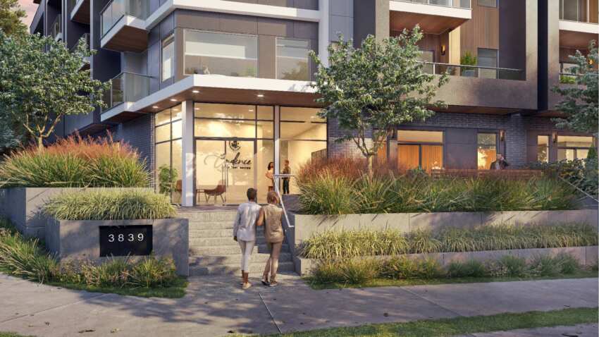 Cadence Saanich Entry