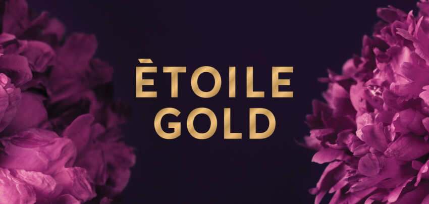 Etoile Gold By Millenium Development Banner